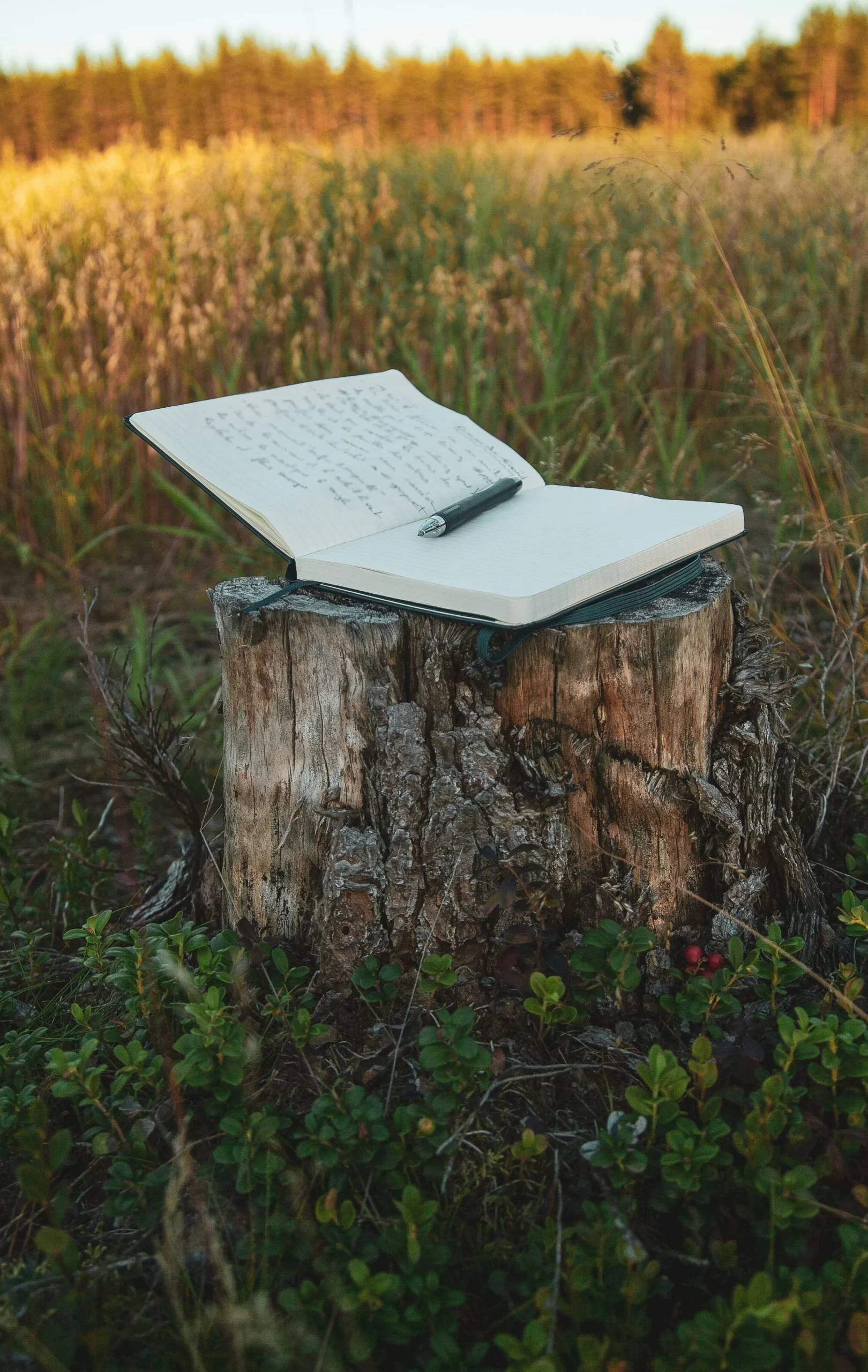 How to Clear Your Mind and Solve Any Problem