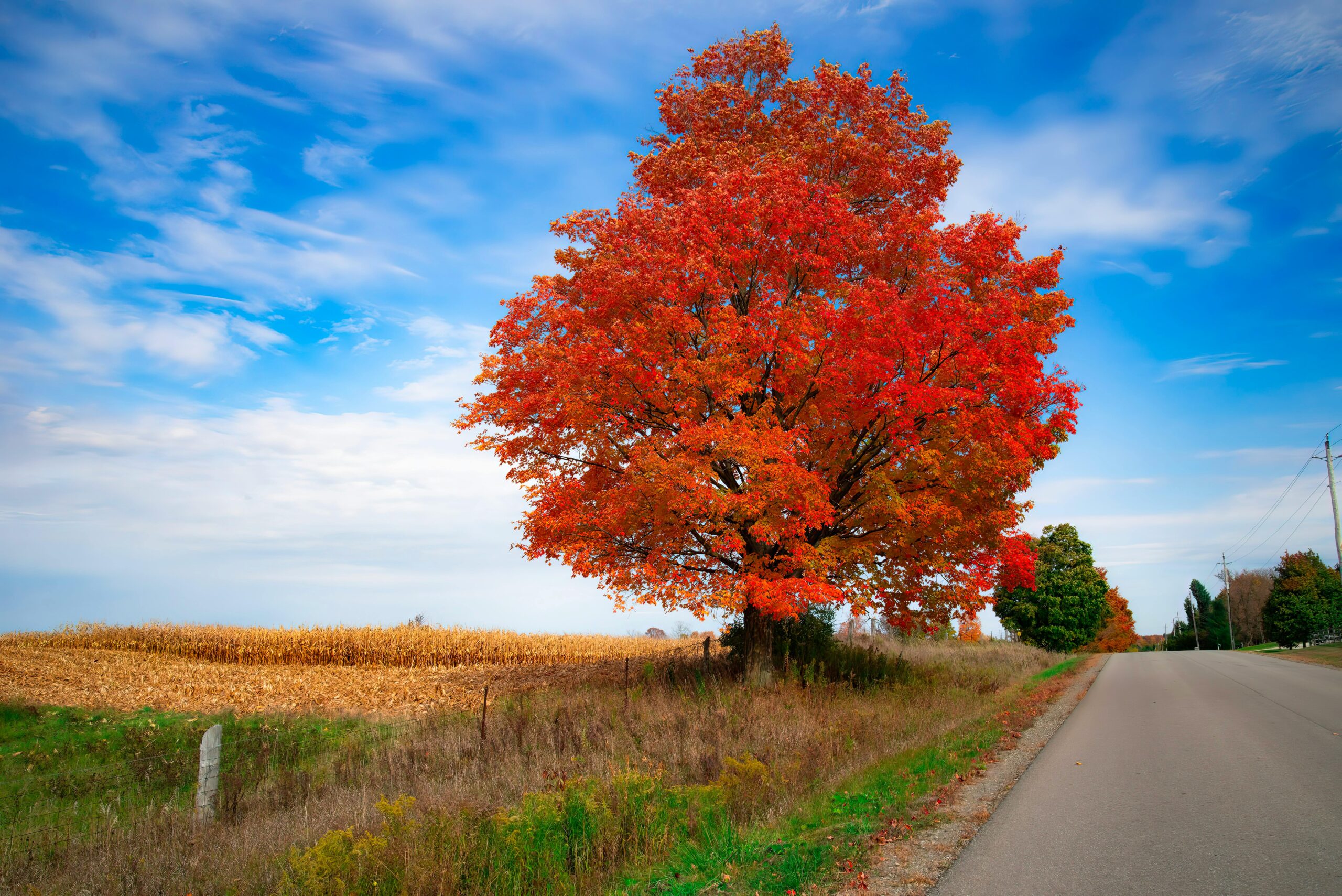 How to Trust God When Life Feels Scary and Uncertain