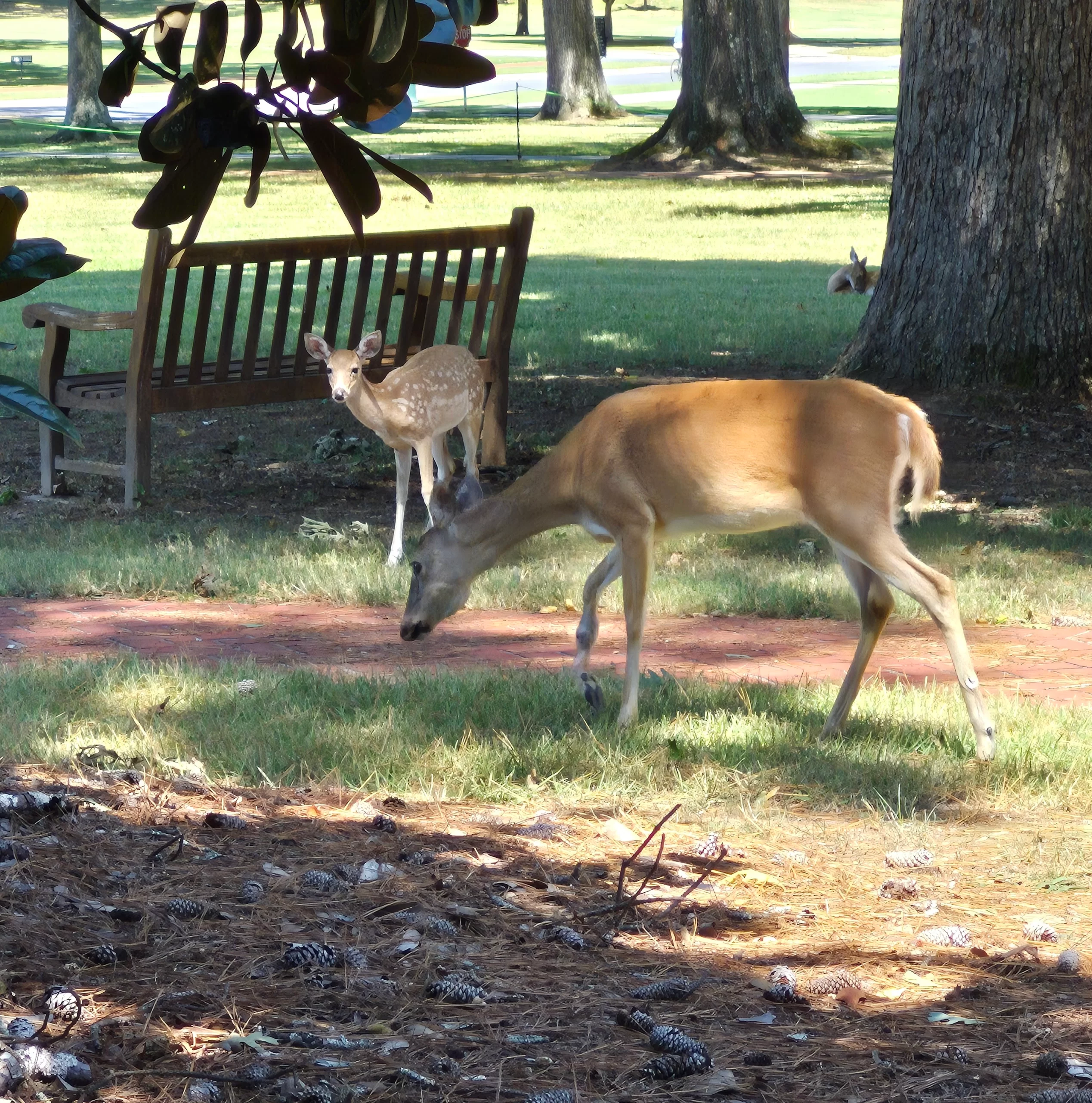 Confidence and Peace in the Simple Everyday Moments
